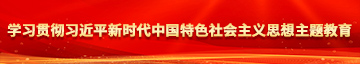 后入bb真实视频学习贯彻习近平新时代中国特色社会主义思想主题教育